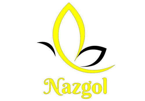 کفش نازگل