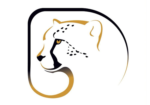کفش دکتر آس