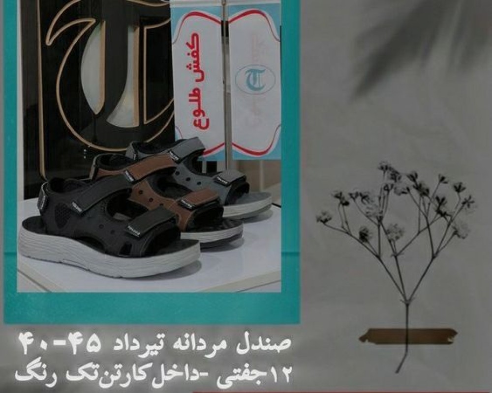  تیرداد مردانه 