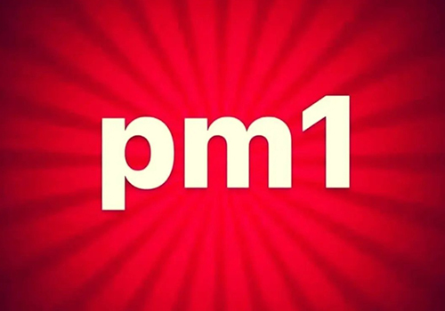 کفش پی ام وان (PM1)